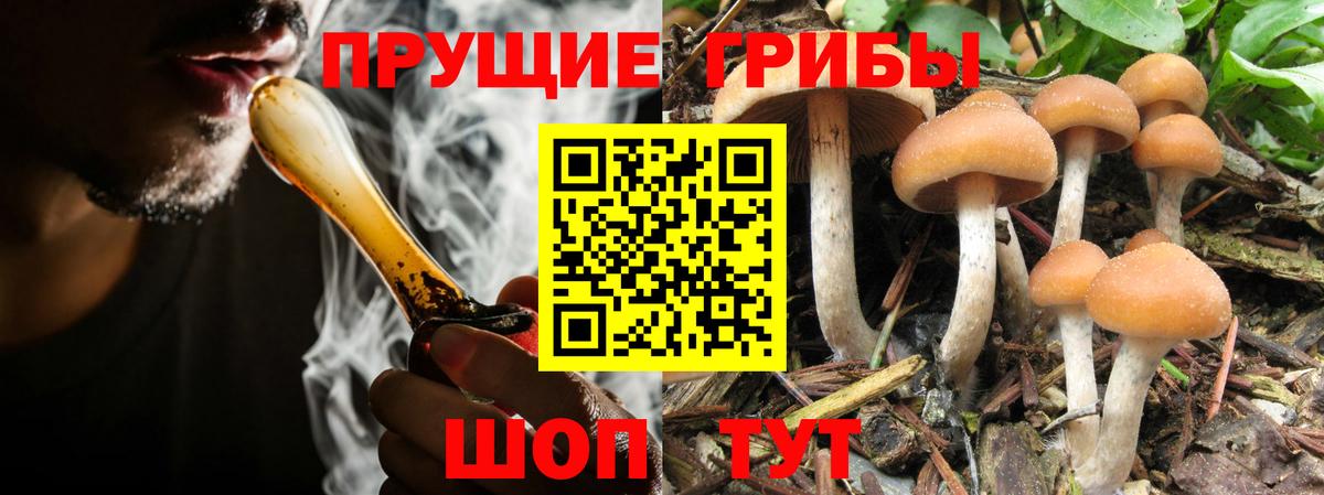 Избербаш  Псилоцибиновые грибы Psilocybe  Вход с VPN  Галлюциногенные грибы GOLDEN TEACHER 